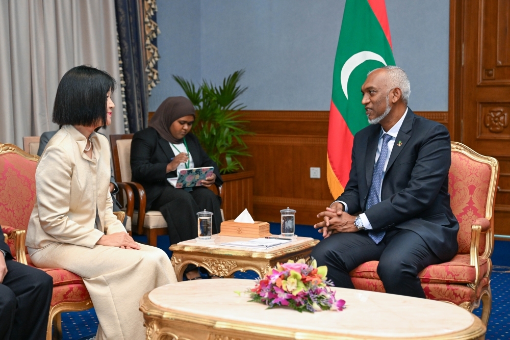 Ambassador of Japan presents credentials to the President