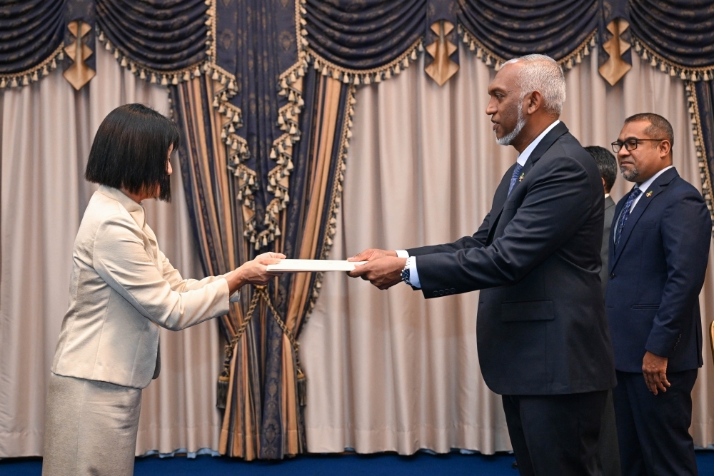 Ambassador of Japan presents credentials to the President