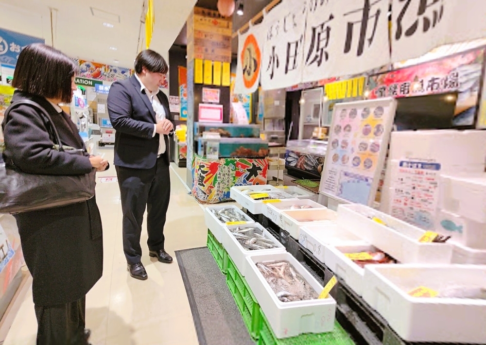 © Embassy of Japan in Maldives